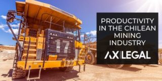 Productivity in the Chilean Mining Industry