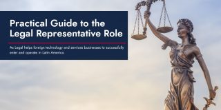 Practical Guide to the Legal Representative Role