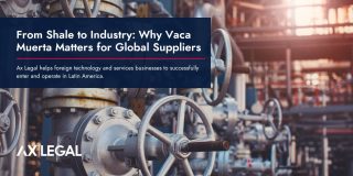 From Shale to Industry: Why Argentina’s Vaca Muerta Matters for Global Suppliers